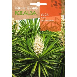 Llavor aromàtica Cilantre