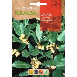 Semilla laurel