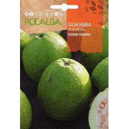 Llavor Guayaba