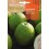 Semilla Guayaba
