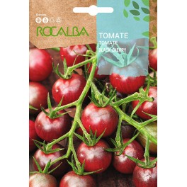 Semilla tomate black Cherry