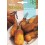 Llavor aromàtica Cilantre