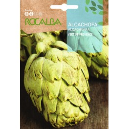 Acelga amarilla de Lyon 2