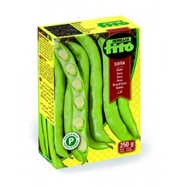 Semente de fava Sofia (tipo Muchamiel)