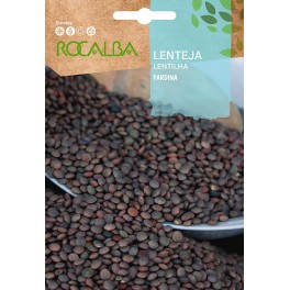 Semente de lentilha Pardina