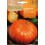 Semilla calabaza rouge vif d'etampes