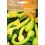 Semilla calabaza Tromboncino d'albenga
