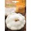 Semilla calabaza Patisson blanc