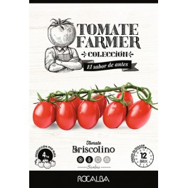 Semilla tomate Briscolino
