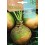 Semilla calabaza Atlantic giant