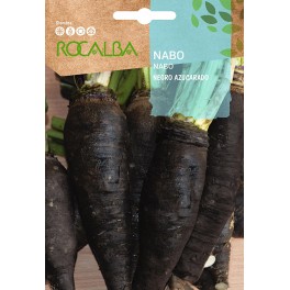Llavor aromàtica Cilantre