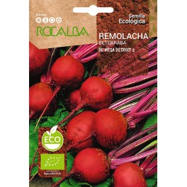 Semente 2 de beterraba de mesa Detroit (orgânica)