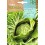 Llavor aromàtica Cilantre