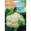 Pistola triple acció Germinova (600 ml)