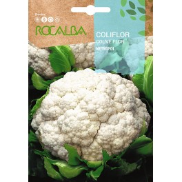 Pistola triple acció Germinova (600 ml)