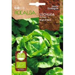 Llavor aromàtica Cilantre