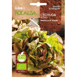 Semilla Lechuga Maravilla de verano (ecológica)