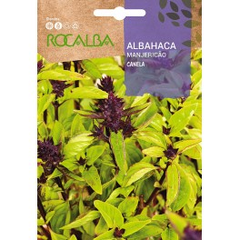 Semilla Albahaca Canela