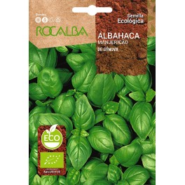 Semilla ecológica Albahaca Genovesa