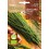 Llavor Cibulet (ecològica)