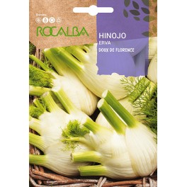 Graine de Fenouil.