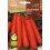 Nantesa Carrot Seed 2 (orgânico)