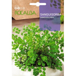Semilla sanguisorba
