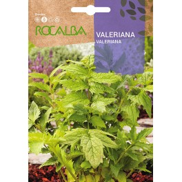 Llavor valeriana