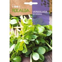 Semilla Verdolaga