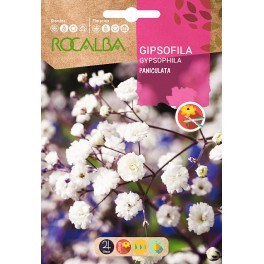 Semente de Paniculata (Gipsofila)