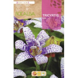 Bulbo de Tricyrtis (3 unidades)