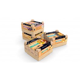 Patata pregerminada Kennebec para siembra (caja 25 unidades)
