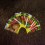 Pack semente hibrido 10