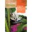 Llavor Strelizia blanca (strelizia alba)