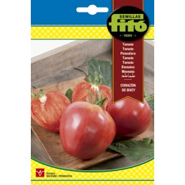 Semilla tomate Corazon de buey