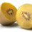 Kiwi autofértil Golden Kiwi (maceta 15 cm Ø)