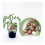 Tomate cherry black (vaso de 10,5 cm Ø)