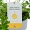 Geranio Lemon (maceta 13 cm Ø)
