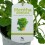Menta sabor albahaca ecologica (maceta 13 cm Ø)