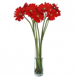 Gerbera roja