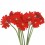 Gerbera roja