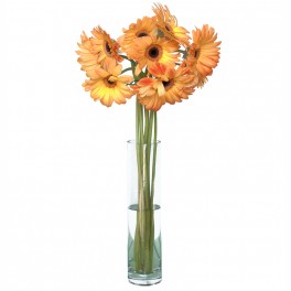 Gerbera Naranja