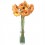 Gerbera Naranja