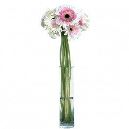Gerbera branca e rosa