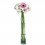 Gerbera blanco y rosa