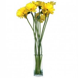 Bouquet de Gerbera Amarela
