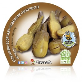 Berenjena conserva Almagro (maceta 10,5 cm Ø)