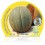 Melão Cantalup (vaso de 10,5 cm Ø)