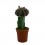 Cactus empaltat variat (diferents mides)