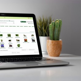 Cactus del ordenador